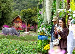 Du lịch Khánh Hòa khởi sắc dịp Tết Bính Ngọ 2026