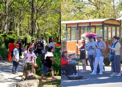 Du lịch Lâm Đồng bội thu dịp Tết Nguyên đán Bính Ngọ 2026