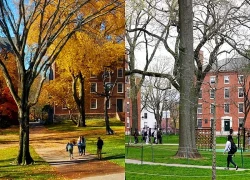 Mỹ cam kết minh bạch về nguồn tài trợ nước ngoài cho các trường đại học