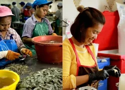 Thái Lan gia hạn thời gian làm giấy phép lao động cho người lao động Lào, Myanmar, Việt Nam