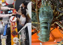 Tính nhầm giá tôm hùm rẻ 100 lần, chủ ngỡ ngàng khi khách quay lại trả