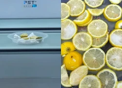 Tôi từng để chanh mốc trong tủ lạnh, cho đến khi phát hiện 15 công dụng này khiến cả căn nhà thơm sạch bất ngờ