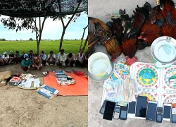 Triệt xoá tụ điểm đá gà, lắc bầu cua được cảnh giới chuyên nghiệp trong Tết