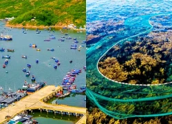 Vì sao Quy Nhơn vào Top 25 điểm đến xu hướng hàng đầu thế giới năm 2026