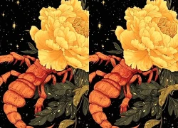 12 cung hoàng đạo ngày 25/2/2026: Kim Ngưu ổn định, Song Tử linh hoạt