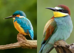 4 ngày sinh Âm lịch có mệnh hút Thần Tài, sung túc hiếm ai bì kịp