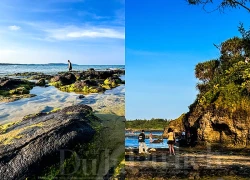 Biển chiều Lệ Thủy, du bước bên gành đá nghe hàng dương ru hát ngàn năm