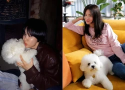 Bức ảnh đời thường gây sốt của Song Hye Kyo