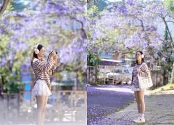 Đà Lạt khoác áo tím, du khách rủ nhau săn mùa hoa lãng mạn nhất năm