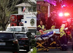 Đâm dao liên tiếp tại Mỹ, 5 người thiệt mạng