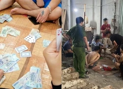 Khởi tố 7 người đánh bạc trong xưởng sản xuất ván gỗ