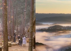 Măng Đen: Hành trình săn biển mây kỳ ảo giữa đại ngàn và trải nghiệm mùa hoa anh đào