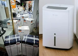 Mặt hàng 'đến hẹn lại cháy' sau Tết Nguyên đán