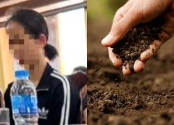 Xác minh thông tin giáo viên bắt học sinh tiểu học liếm đất