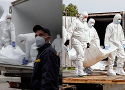 Trao đổi tử sĩ Nga - Ukraine: Số liệu "trung thực nhất" trên chiến trường