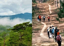 Vườn Quốc gia Bidoup Núi Bà, điểm du lịch sinh thái rừng không thể bỏ qua trên Cao nguyên Lang Biang