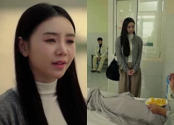 Bước chân vào đời - Tập 5: Thương thay em trai hạ mình xin lỗi nạn nhân