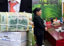 Cựu nữ hiệu trưởng lập hồ sơ khống rút ngân sách gần 500 triệu đồng