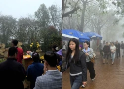 Đầu năm du xuân trên đỉnh Ngàn Nưa, Thanh Hóa