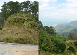 Đầu xuân du ngoạn qua cung đèo bác sĩ Alexandre Yersin từng đi