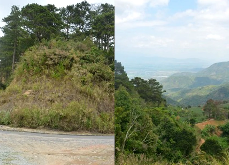 Đầu xuân du ngoạn qua cung đèo bác sĩ Alexandre Yersin từng đi