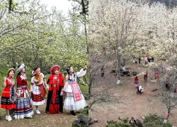 Du khách nô nức check-in mùa hoa lê