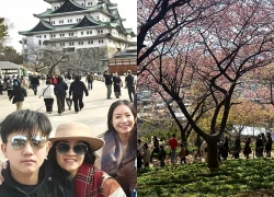 Du xuân Nhật Bản: Từ các điểm đến ngôi sao đang lên tới bộ sưu tập góc nhìn núi thiêng Phú Sĩ