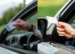 EU thông qua loạt quy định mới về giấy phép lái xe và xử phạt giao thông