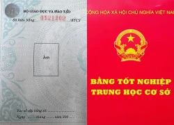 Làm rõ thông tin lãnh đạo xã chưa tốt nghiệp cấp 2 đã học lớp 10