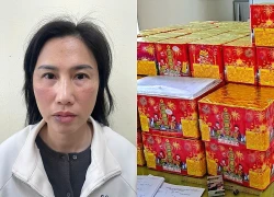 Nữ quái lừa đảo góp vốn kinh doanh pháo hoa, chiếm đoạt tiền tỷ