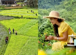 Sắc Xuân trên vùng cao Nà Hang