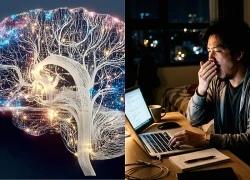 Thiếu ngủ gây ra một vấn đề ít ai nghĩ là có liên quan