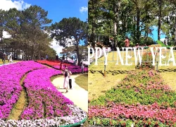 Trung tâm Đà Lạt xuất hiện điểm tham quan, check-in mới