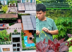Cận cảnh khu vườn "trong mơ", được đầu tư hơn 3 tỷ đồng trên sân thượng tầng 30 tại Hưng Yên