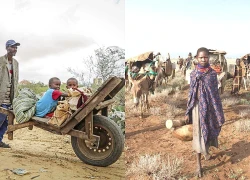 Nhiều nước châu Phi ứng phó khẩn cấp khủng hoảng nhiên liệu