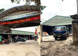 Vụ đường dây lợn bệnh len lỏi bếp ăn trường học, nhân viên lò khai sự thật sốc