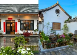 Bỏ phố về quê, người đàn ông cải tạo sân 100m đẹp suốt 4 mùa: Không cần giàu vẫn sống an yên