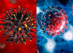 Đài Loan (Trung Quốc) phát hiện ca nhiễm biến thể BA.3.2 đầu tiên