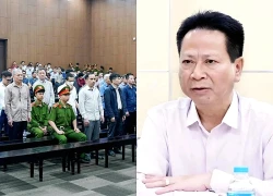 Phi vụ hối lộ được ngụy trang tinh vi của cựu Cục phó Bộ Nông nghiệp