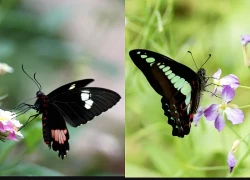 4 khung giờ sinh Âm lịch báo hiệu cuộc đời đủ đầy, về già được hưởng lộc con cháu