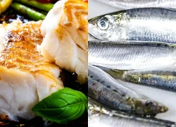 5 loại cá là 'thuốc quý' giúp sạch mạch máu, ngừa đột quỵ