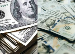 Giới chuyên gia hoài nghi sức bền đà tăng của đồng USD