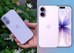 iPhone 17e vs iPhone 16e: Cuộc cách mạng nhỏ ở phân khúc tầm trung