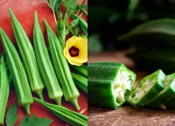 Loại quả được ví như 'nhân sâm xanh', bổ sung canxi, hạ mỡ máu