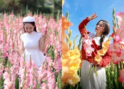 Vườn hoa lay ơn Đà Lạt bất ngờ 'gỡ vốn' khi thành điểm check-in 'hot'