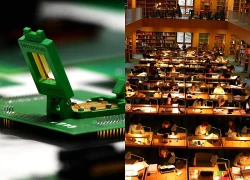 3 nhóm ngành có nhu cầu nhân lực lớn tại Việt Nam năm 2026