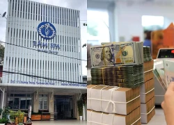 Chuyển hồ sơ của spa có dấu hiệu trốn thuế sang cơ quan công an