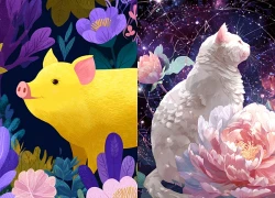 Đúng 20h hôm nay, ngày 7/3/2026, 3 con giáp này hỷ sự liên miên, ngập tràn tài lộc, thu tiền gom bạc, sống trong hạnh phúc