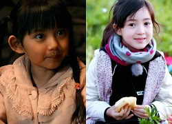 Nghiên cứu của Đại học Berkeley: Tại sao đứa trẻ lớn lên trong thiếu thốn thường có chỉ số EQ và khả năng lãnh đạo vượt trội?