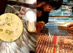 Trung Quốc: Phát hiện 10g vàng trong dạ dày vịt nuôi khi mổ lấy thịt